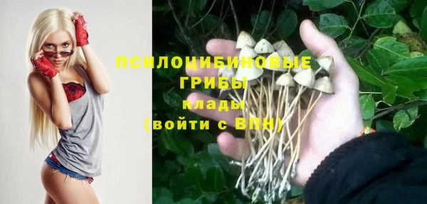 дживик Армянск