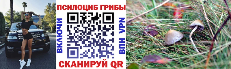 наркошоп  Фролово  Галлюциногенные грибы MAGIC MUSHROOMS 