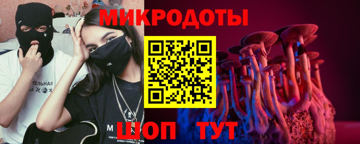 Псилоцибиновые грибы Psilocybe  Псилоцибиновые грибы ЛСД  Вход с VPN  Фролово 